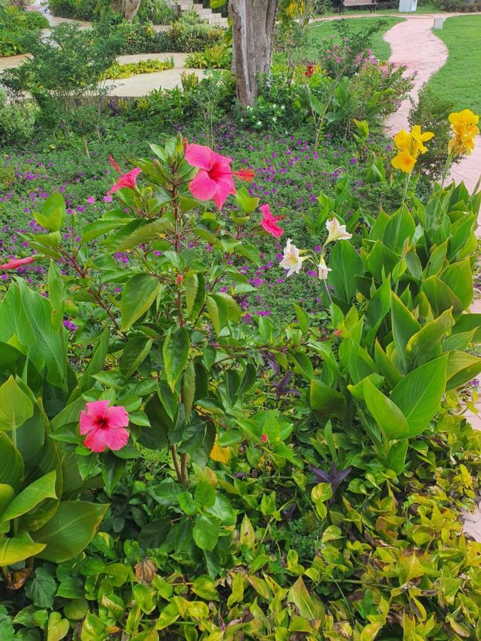 Hacienda Maria Elena Yucatan Hotel Ticul Ngoại thất bức ảnh
